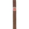 Hoyo de Monterrey Le Hoyo du Maire