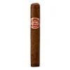 Partagas Shorts