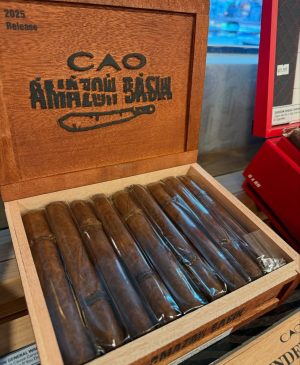 CAO Amazon Basin 2025